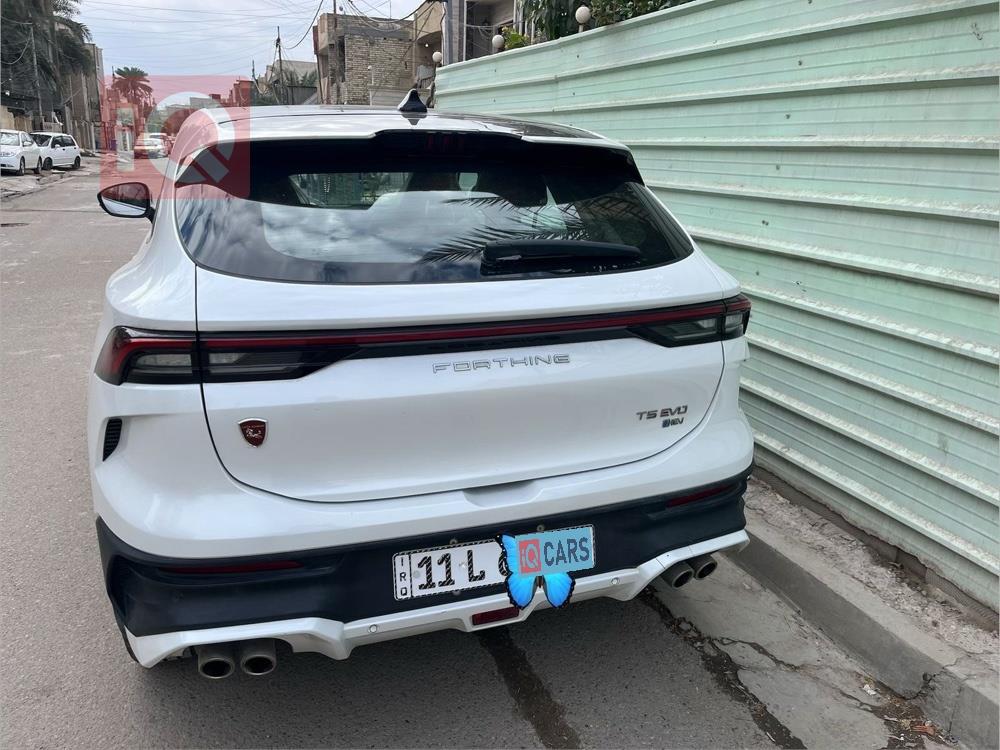 دونج فينج T5 EVO